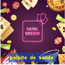 palpite do xande de hoje