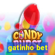 gatinho bet