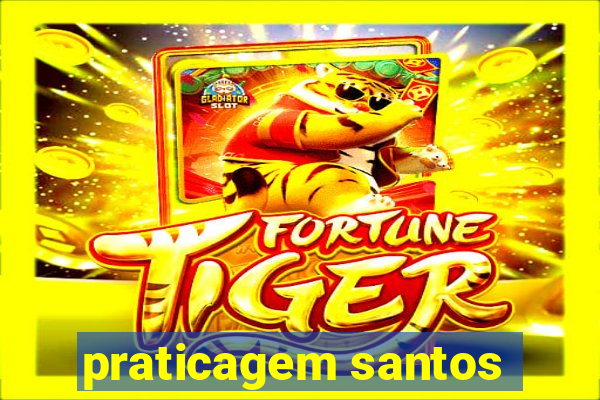 praticagem santos