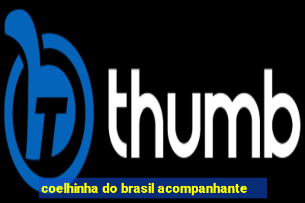 coelhinha do brasil acompanhante