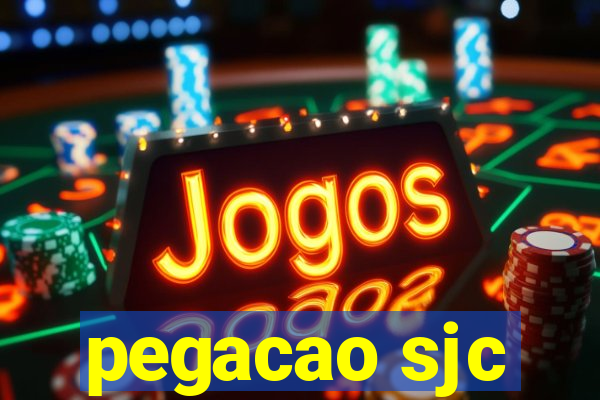 pegacao sjc