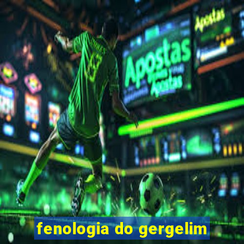 fenologia do gergelim