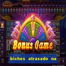 bichos atrasado na loteria dos sonhos