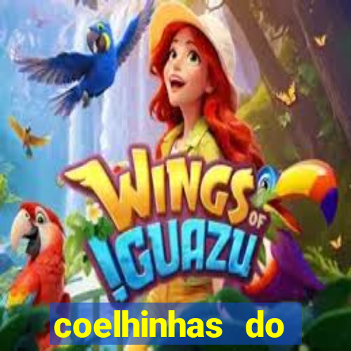 coelhinhas do brasil jp