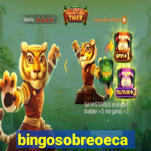 bingosobreoeca