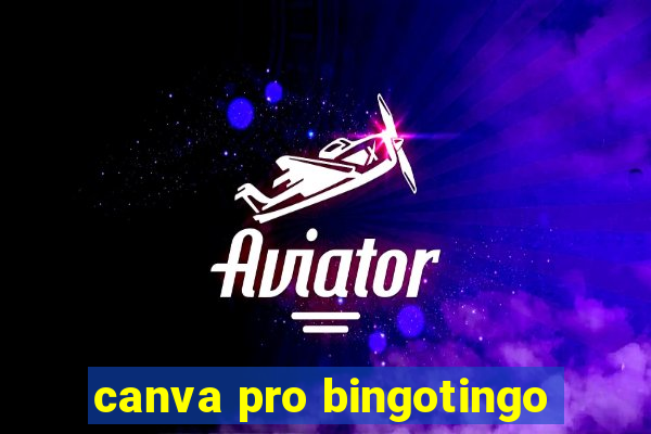 canva pro bingotingo