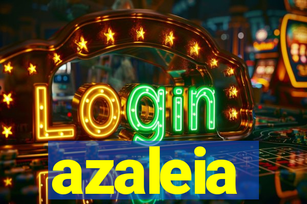 azaleia-br.com