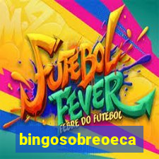 bingosobreoeca