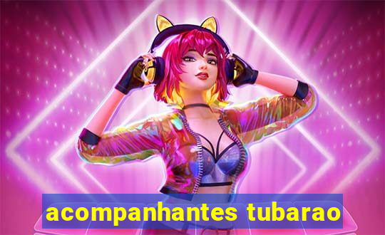 acompanhantes tubarao