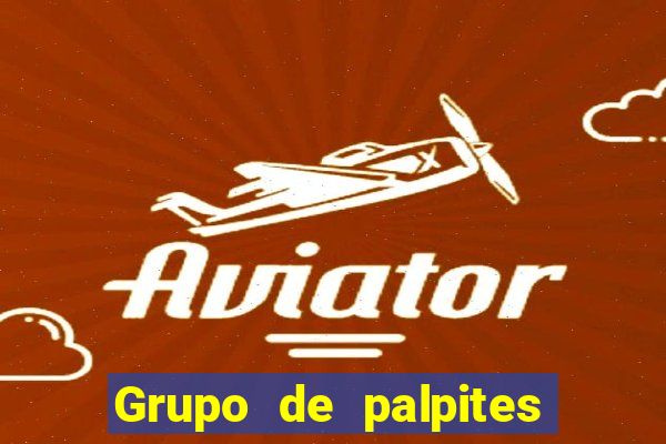 Grupo de palpites de futebol gratis